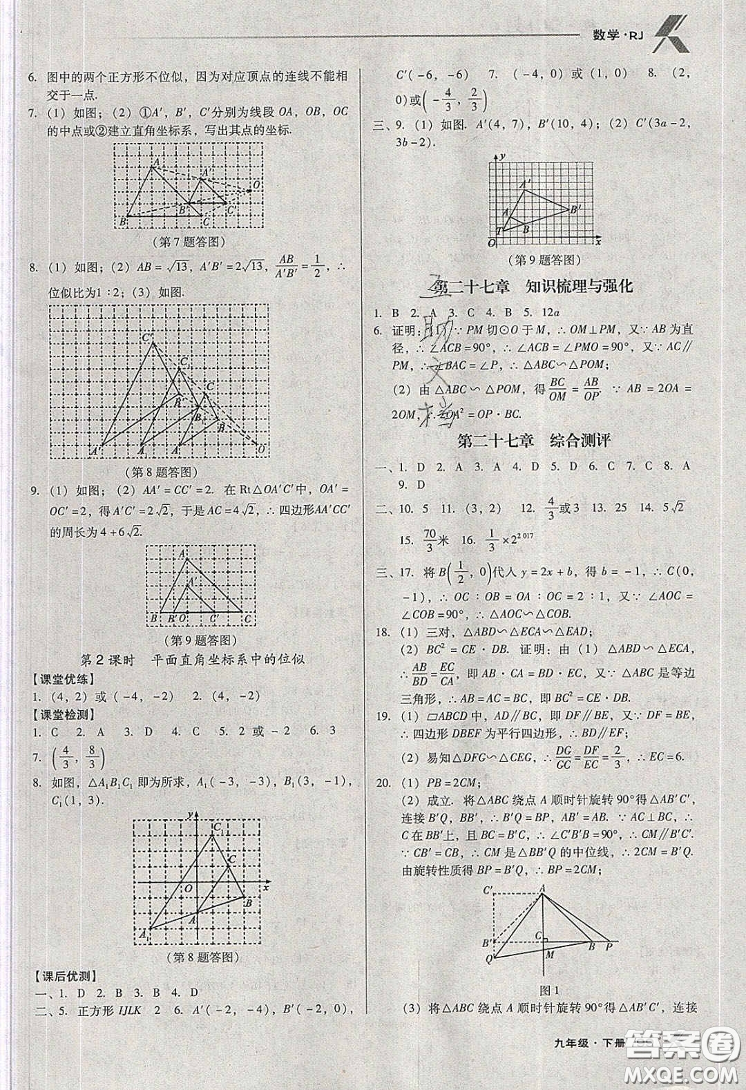 遼海出版社2020全優(yōu)點(diǎn)練課計(jì)劃九年級(jí)數(shù)學(xué)下冊(cè)人教版答案