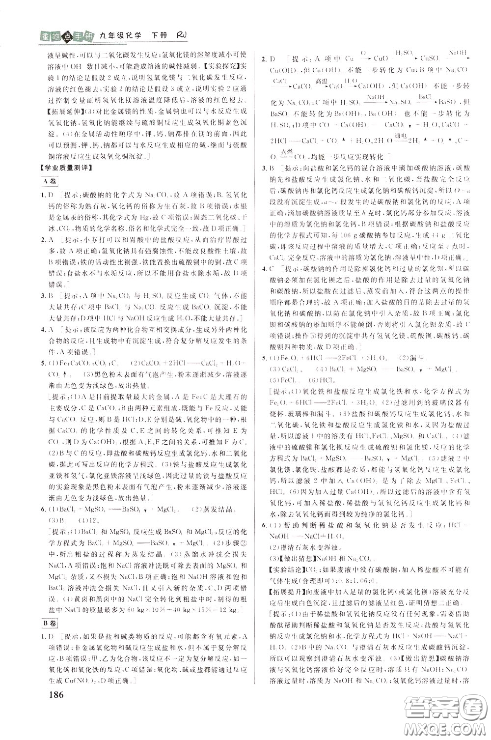 華中師范大學(xué)出版社2020年重難點手冊九年級化學(xué)下冊RJ人教版參考答案