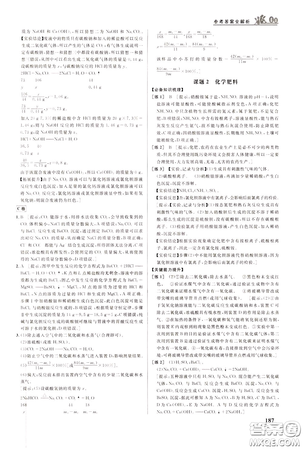 華中師范大學(xué)出版社2020年重難點手冊九年級化學(xué)下冊RJ人教版參考答案