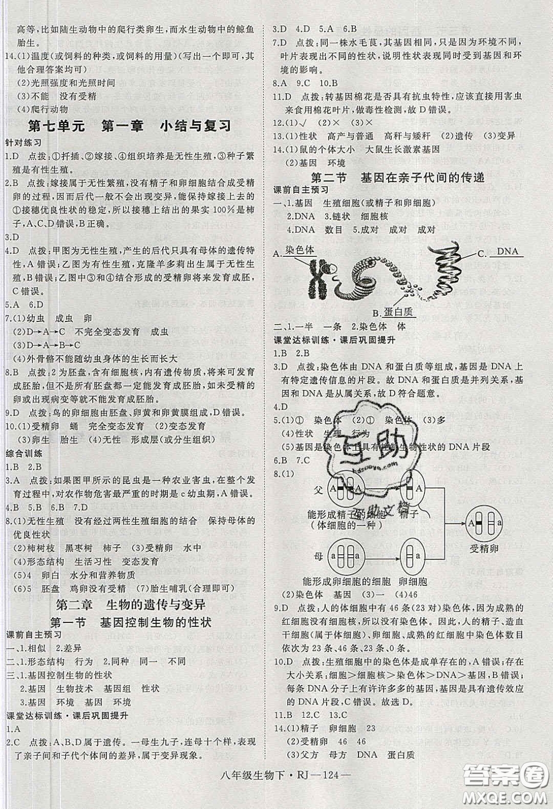 武漢出版社2020春優(yōu)翼學(xué)練優(yōu)八年級(jí)生物下冊(cè)人教版答案