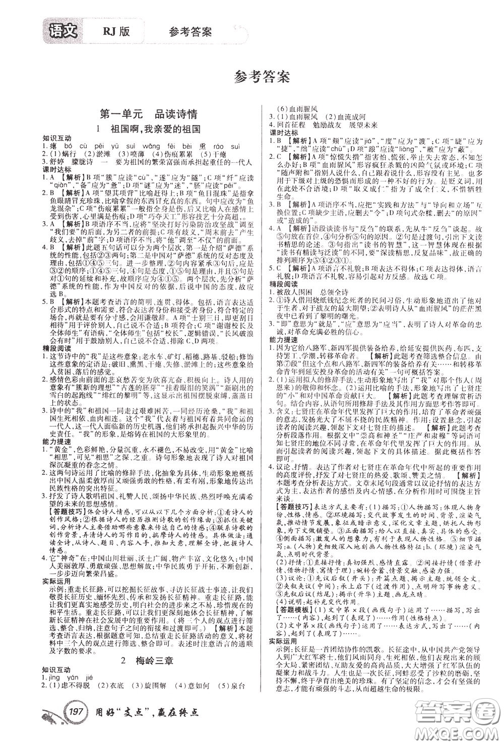 2020年支點語文九年級下冊RJ版人教版江西專版參考答案