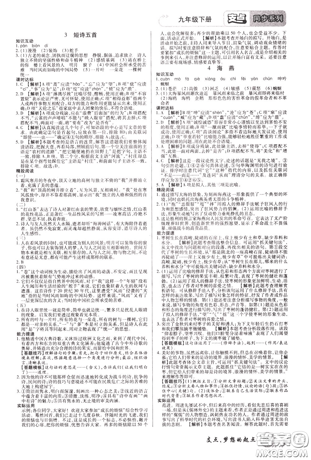 2020年支點語文九年級下冊RJ版人教版江西專版參考答案