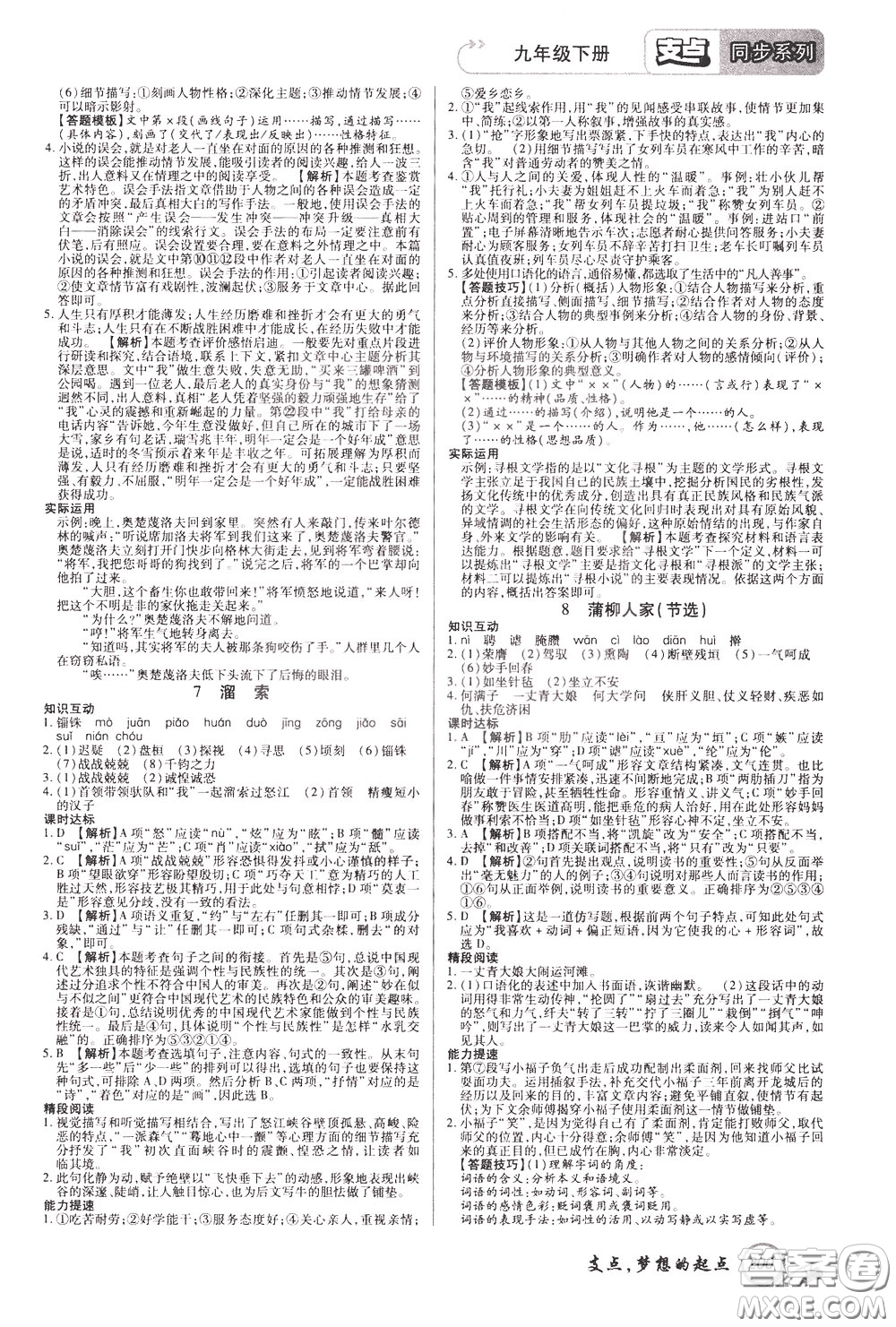 2020年支點語文九年級下冊RJ版人教版江西專版參考答案