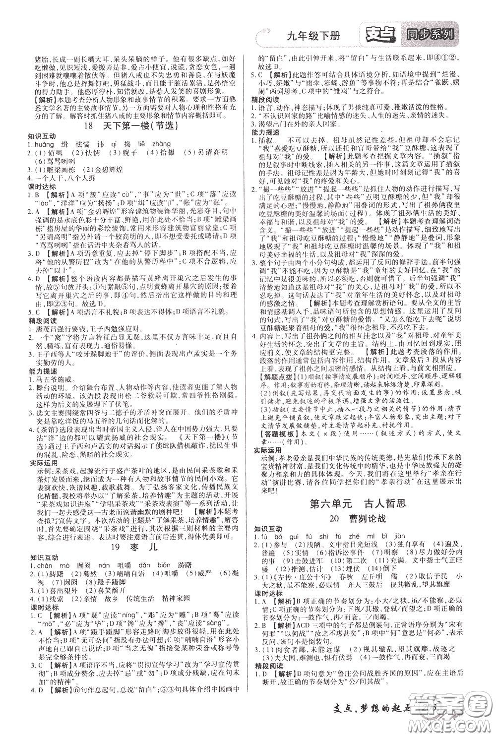 2020年支點語文九年級下冊RJ版人教版江西專版參考答案