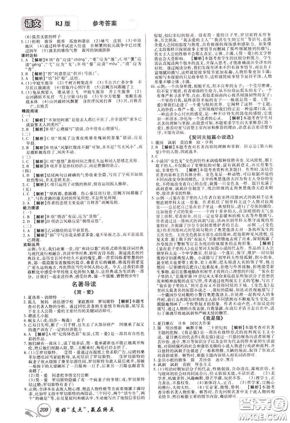 2020年支點語文九年級下冊RJ版人教版江西專版參考答案