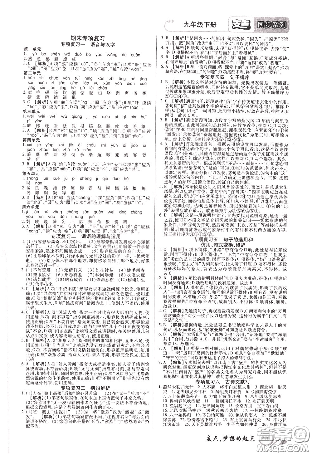 2020年支點語文九年級下冊RJ版人教版江西專版參考答案