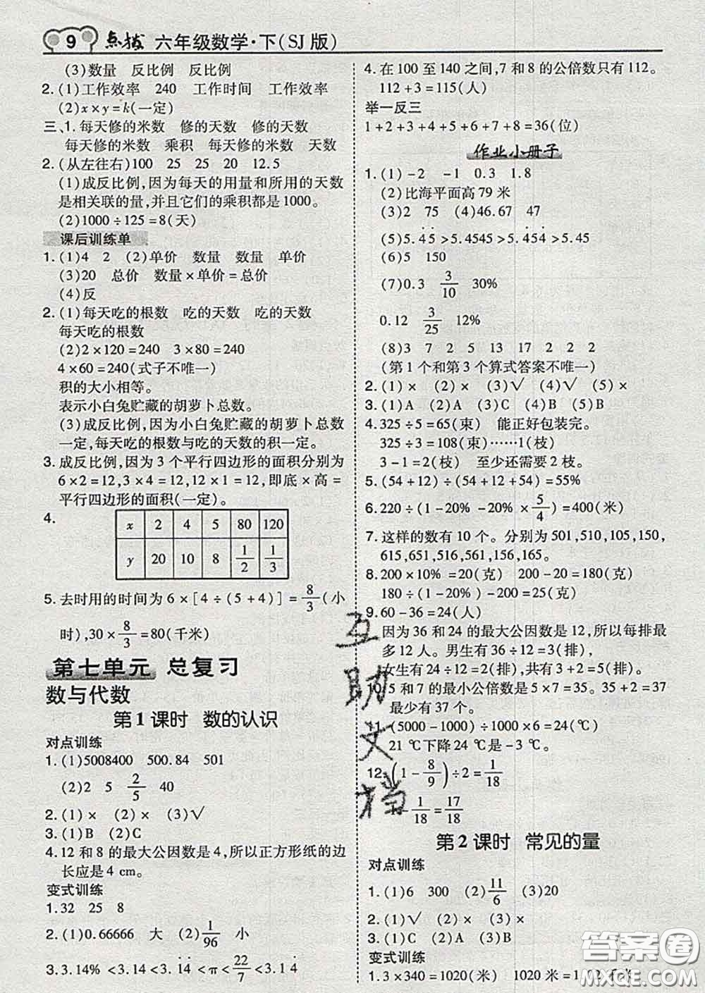 2020春特高級教師點撥六年級數(shù)學下冊蘇教版答案