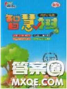 2020年智慧樹(shù)同步講練測(cè)數(shù)學(xué)五年級(jí)下冊(cè)蘇教版參考答案