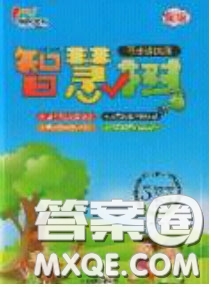 2020年智慧樹同步講練測(cè)數(shù)學(xué)五年級(jí)下冊(cè)北師大版參考答案