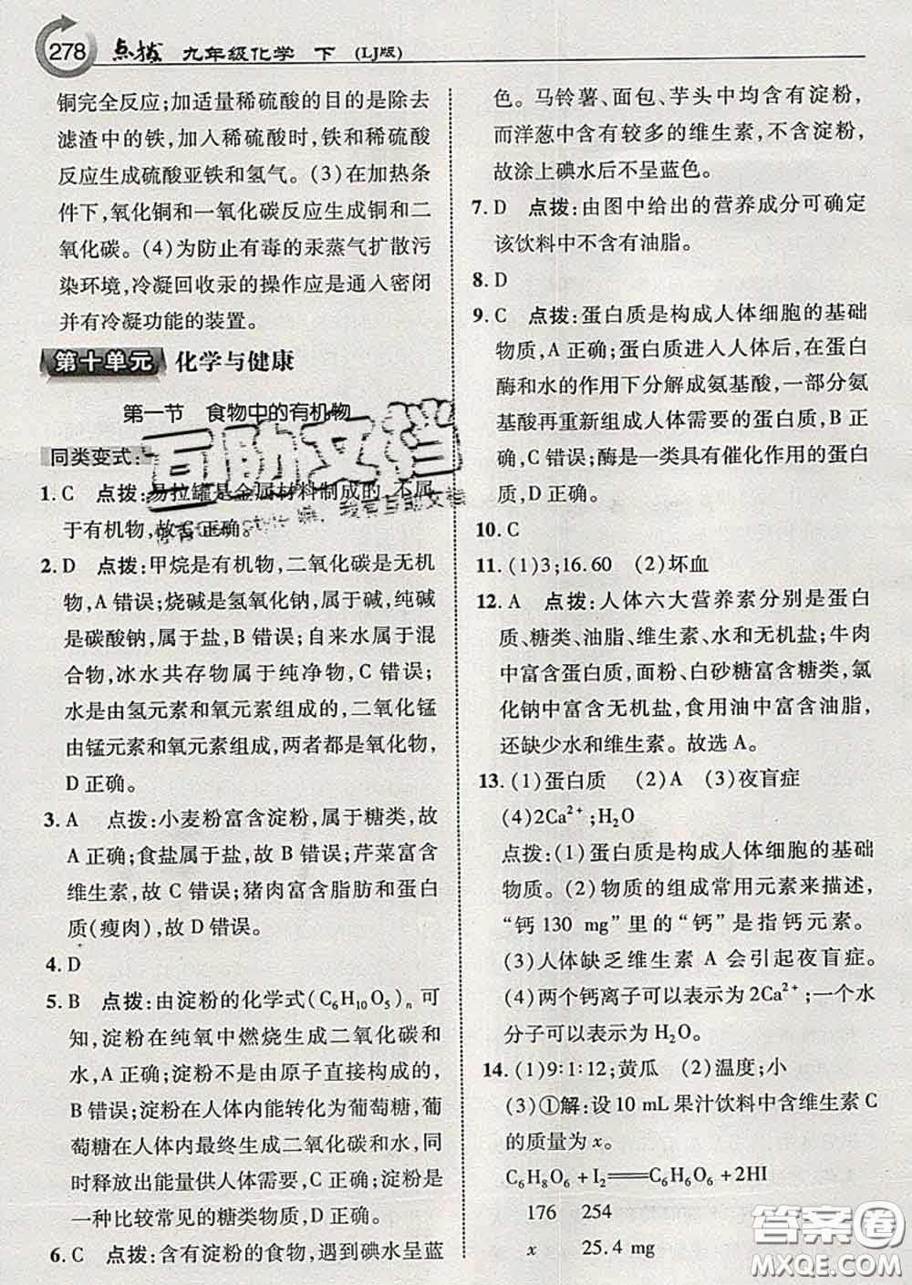 吉林教育出版社2020春特高級(jí)教師點(diǎn)撥九年級(jí)化學(xué)下冊(cè)魯教版答案