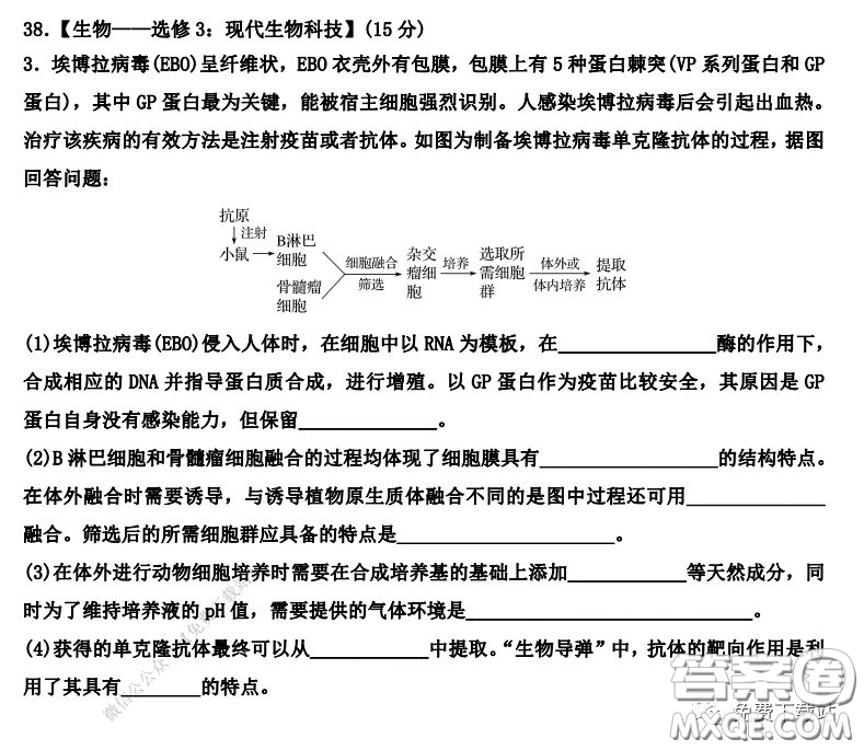 衡水中學2019-2020學年度第二學期高三年級二調考試理科綜合試題及答案