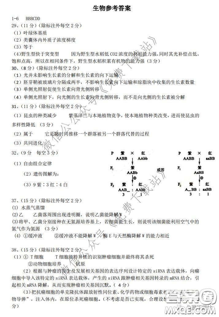 華師大一附中2020屆高三2月檢測(cè)線(xiàn)上理科綜合能力測(cè)試試題及答案