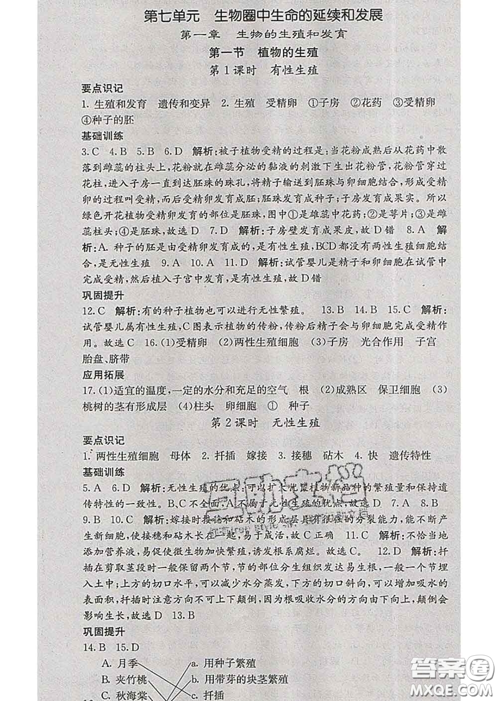 梯田文化2020春課堂點(diǎn)睛八年級生物下冊人教版答案