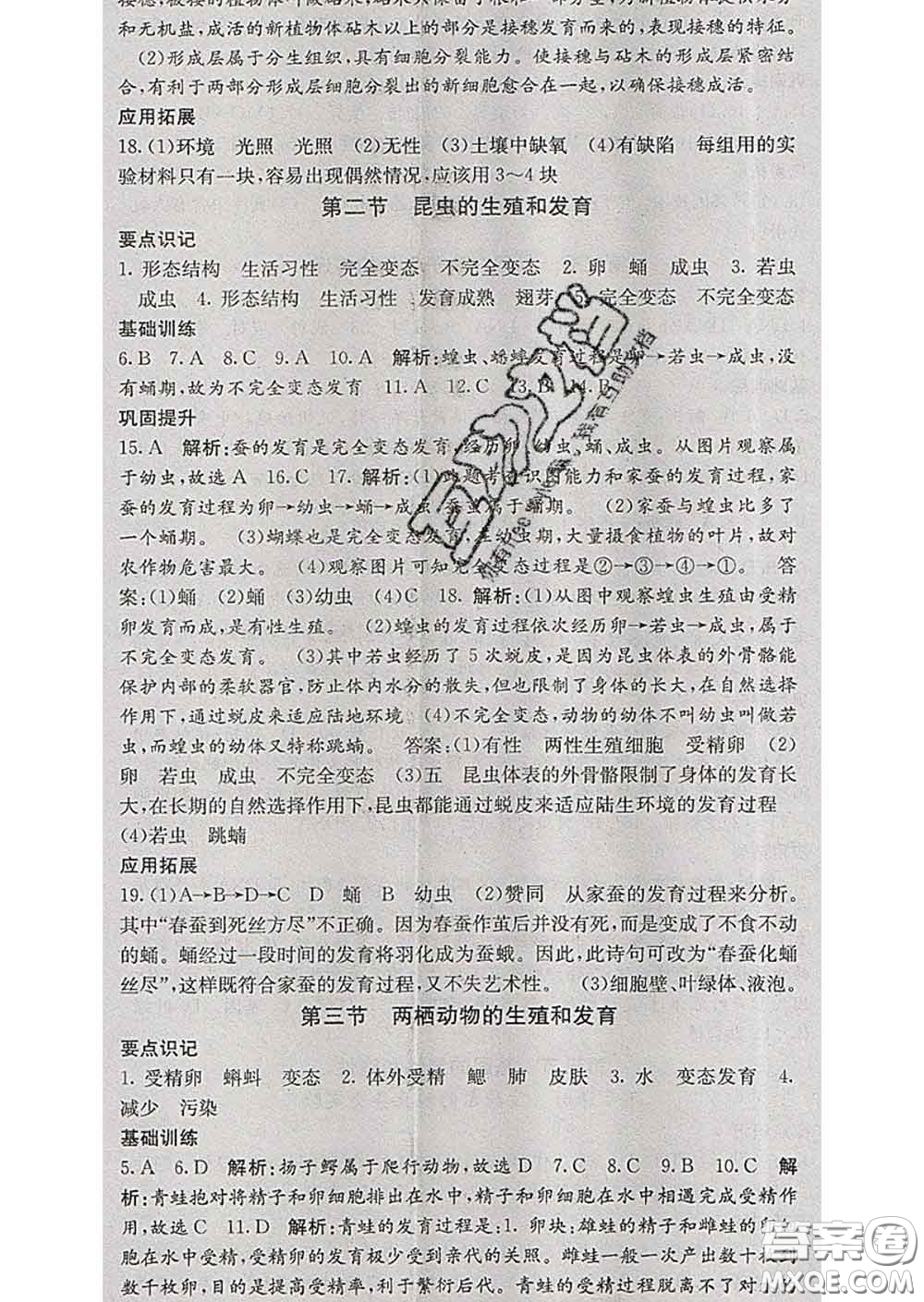 梯田文化2020春課堂點(diǎn)睛八年級生物下冊人教版答案