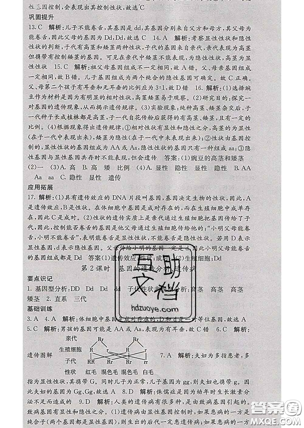 梯田文化2020春課堂點(diǎn)睛八年級生物下冊人教版答案