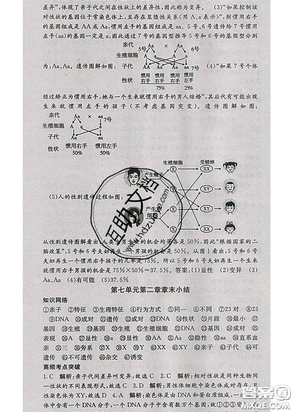 梯田文化2020春課堂點(diǎn)睛八年級生物下冊人教版答案