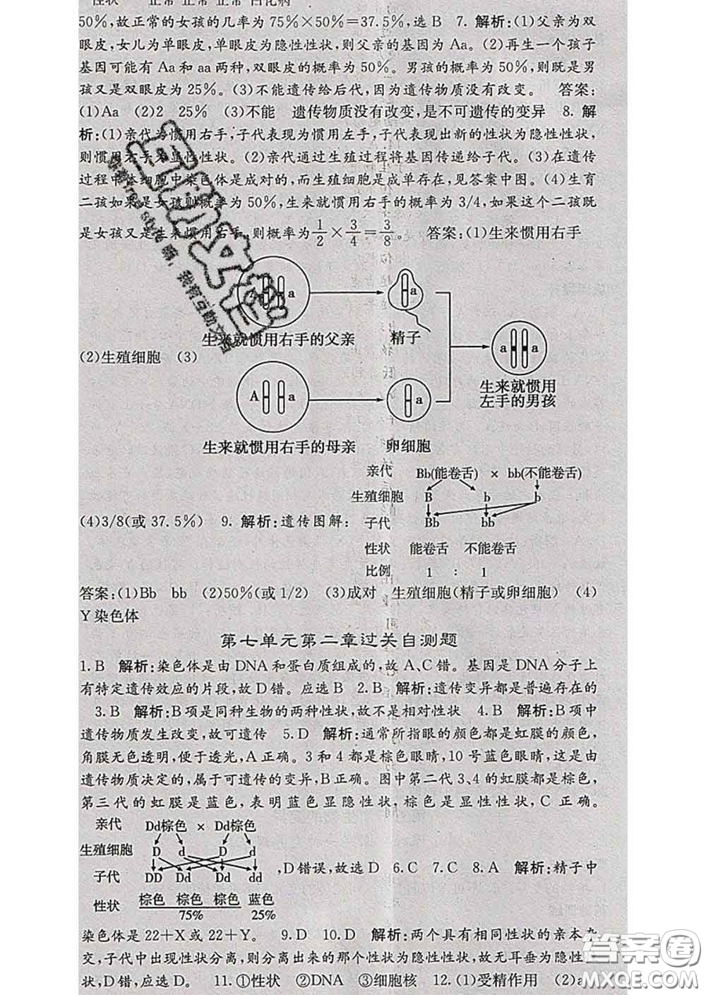 梯田文化2020春課堂點(diǎn)睛八年級生物下冊人教版答案