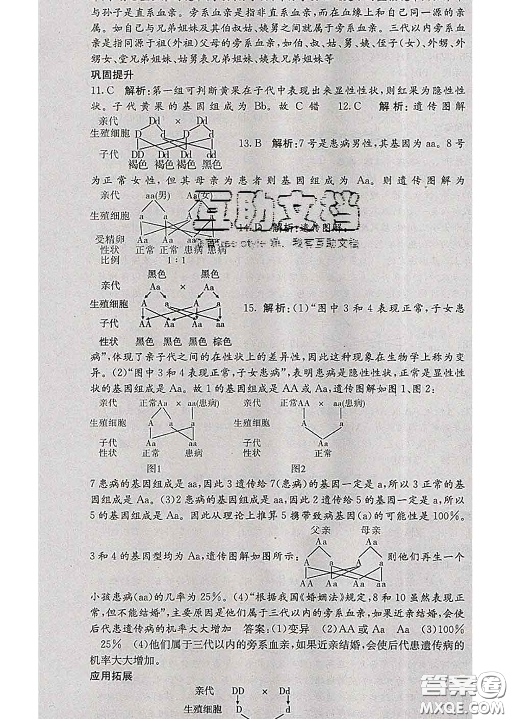 梯田文化2020春課堂點(diǎn)睛八年級生物下冊人教版答案