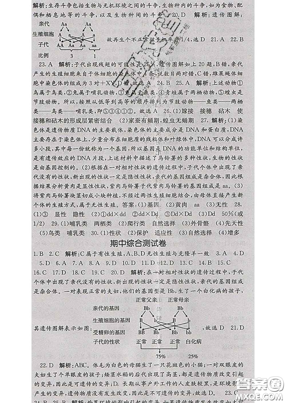 梯田文化2020春課堂點(diǎn)睛八年級生物下冊人教版答案