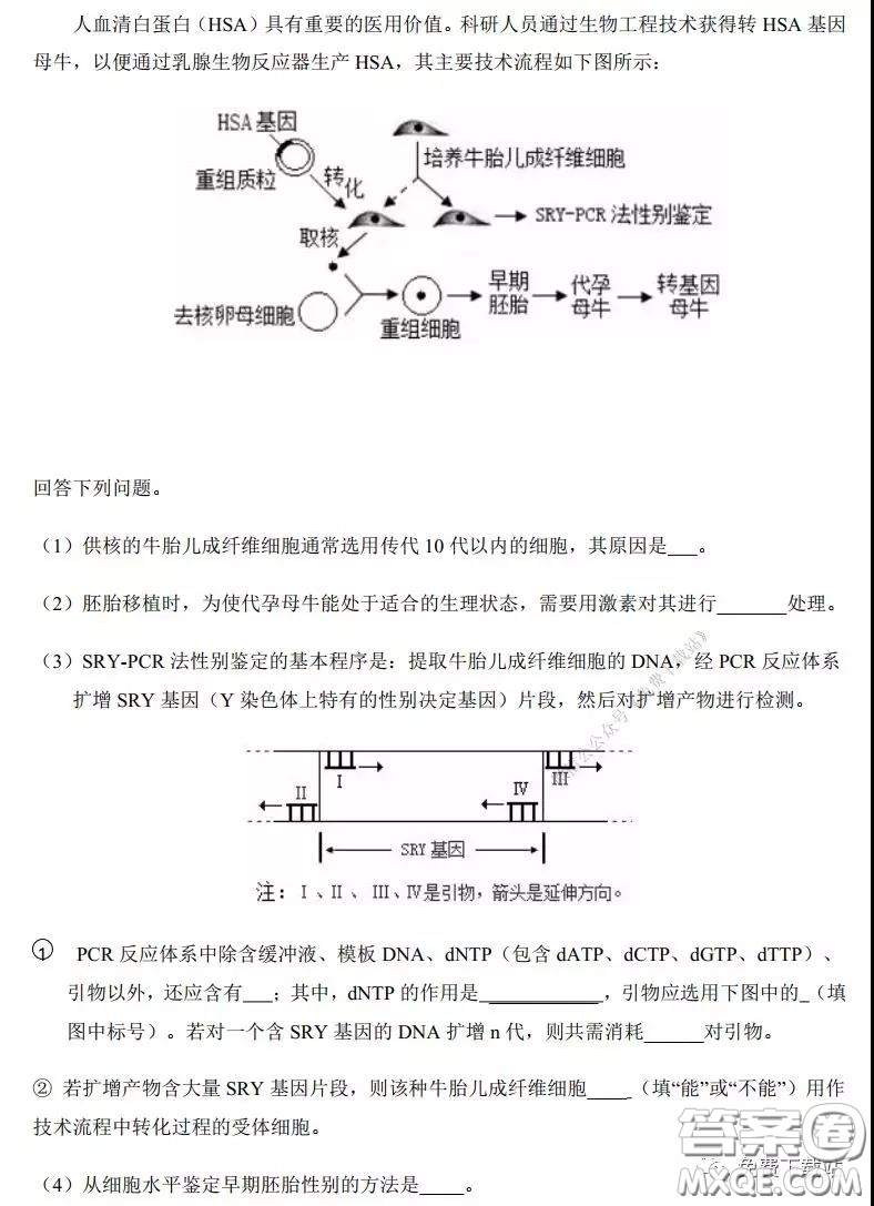 2020年河南省實驗中學(xué)高三假期自主測試?yán)砜凭C合試題及答案