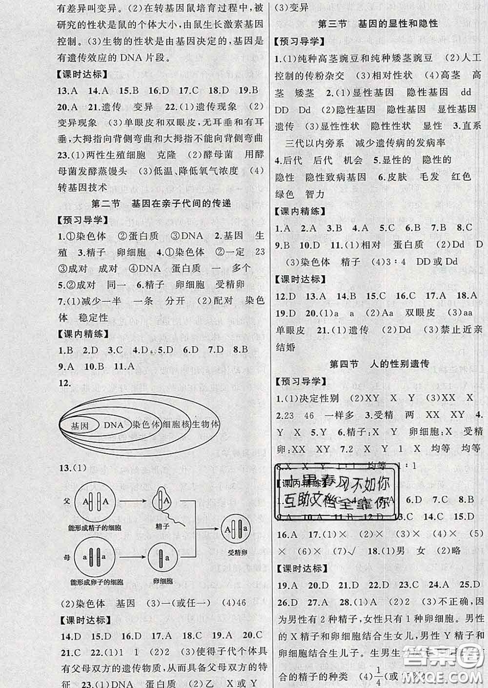 2020年黃岡金牌之路練闖考八年級生物下冊人教版答案