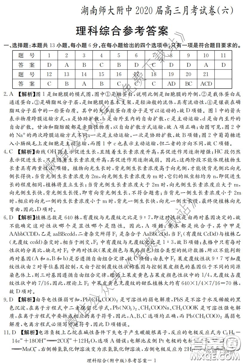 炎德英才大聯(lián)考湖南師大附中2020屆高三月考試卷六理科綜合試題及答案