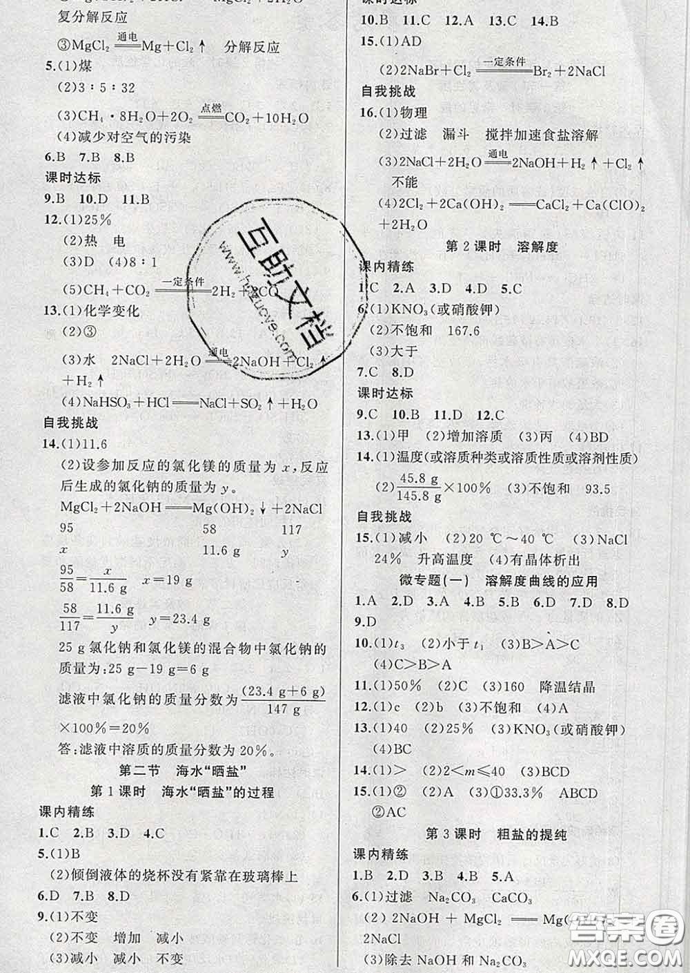 2020年黃岡金牌之路練闖考九年級(jí)化學(xué)下冊(cè)魯教版答案