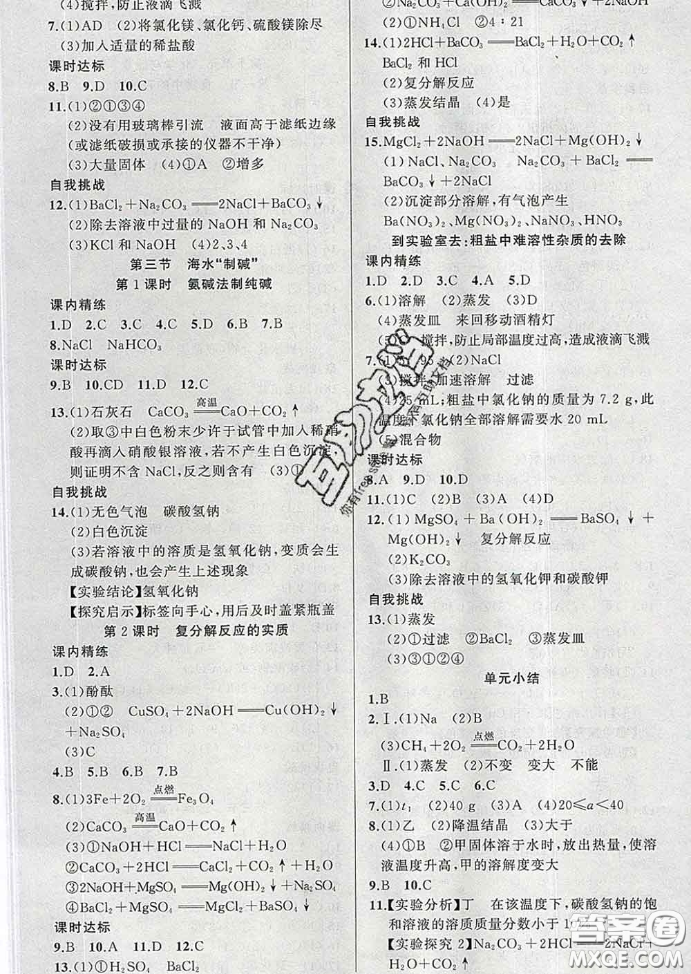 2020年黃岡金牌之路練闖考九年級(jí)化學(xué)下冊(cè)魯教版答案