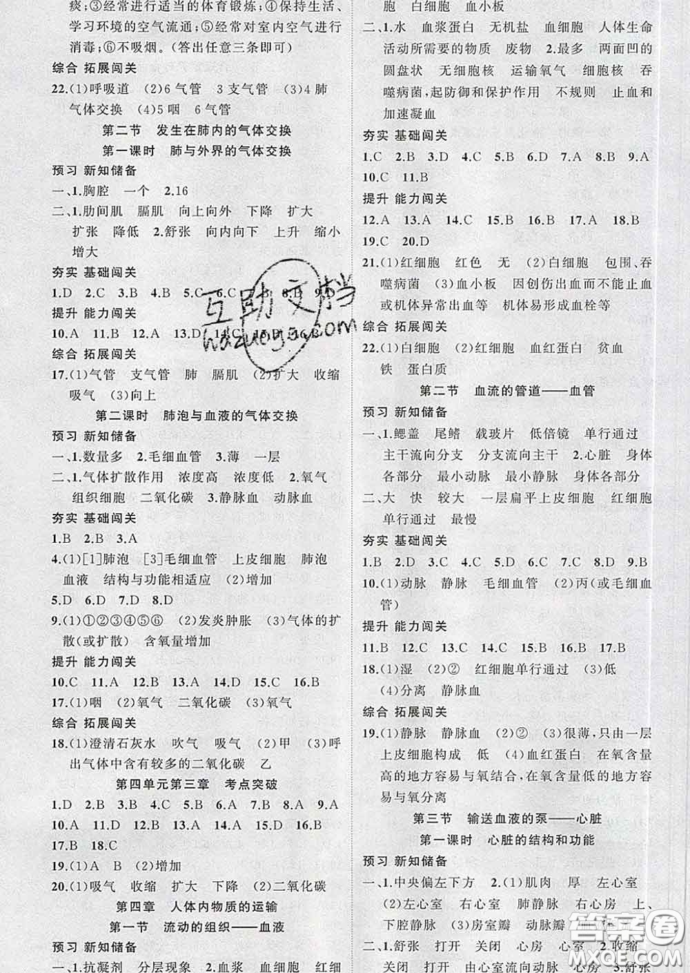 新疆青少年出版社2020春黃岡100分闖關(guān)七年級(jí)生物下冊人教版答案