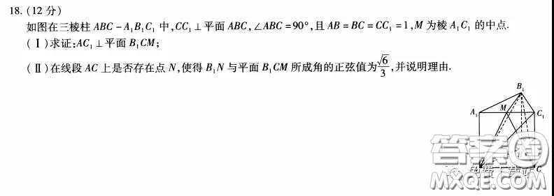 天一大聯(lián)考2020屆高考全真模擬卷四理科數(shù)學(xué)試題及答案