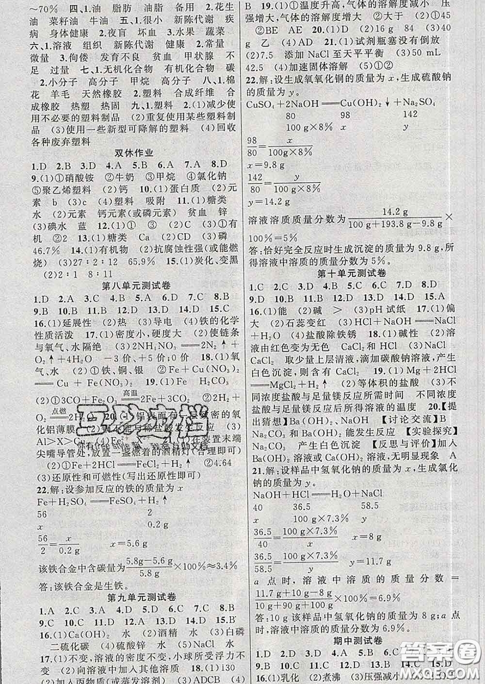 新疆青少年出版社2020春黃岡100分闖關(guān)九年級(jí)化學(xué)下冊(cè)人教版答案