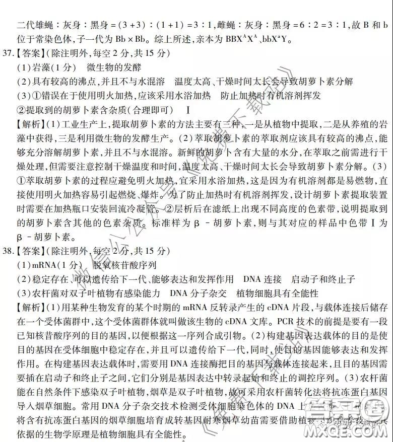 2020年普通高等學校招生全國統(tǒng)一考試高考仿真模擬信息卷押題卷三理科綜合答案