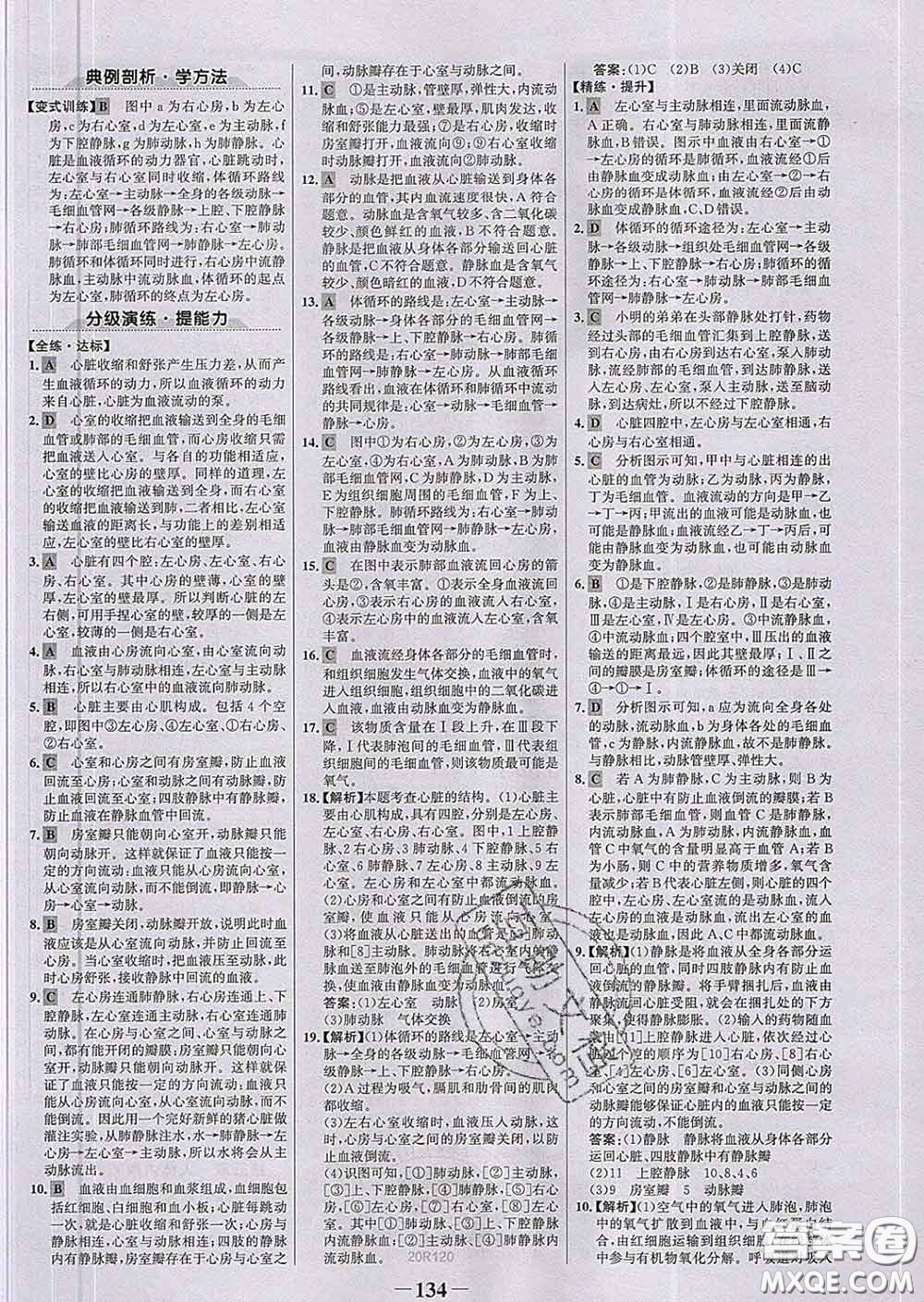 2020新版世紀(jì)金榜金榜學(xué)案七年級(jí)生物下冊(cè)人教版答案