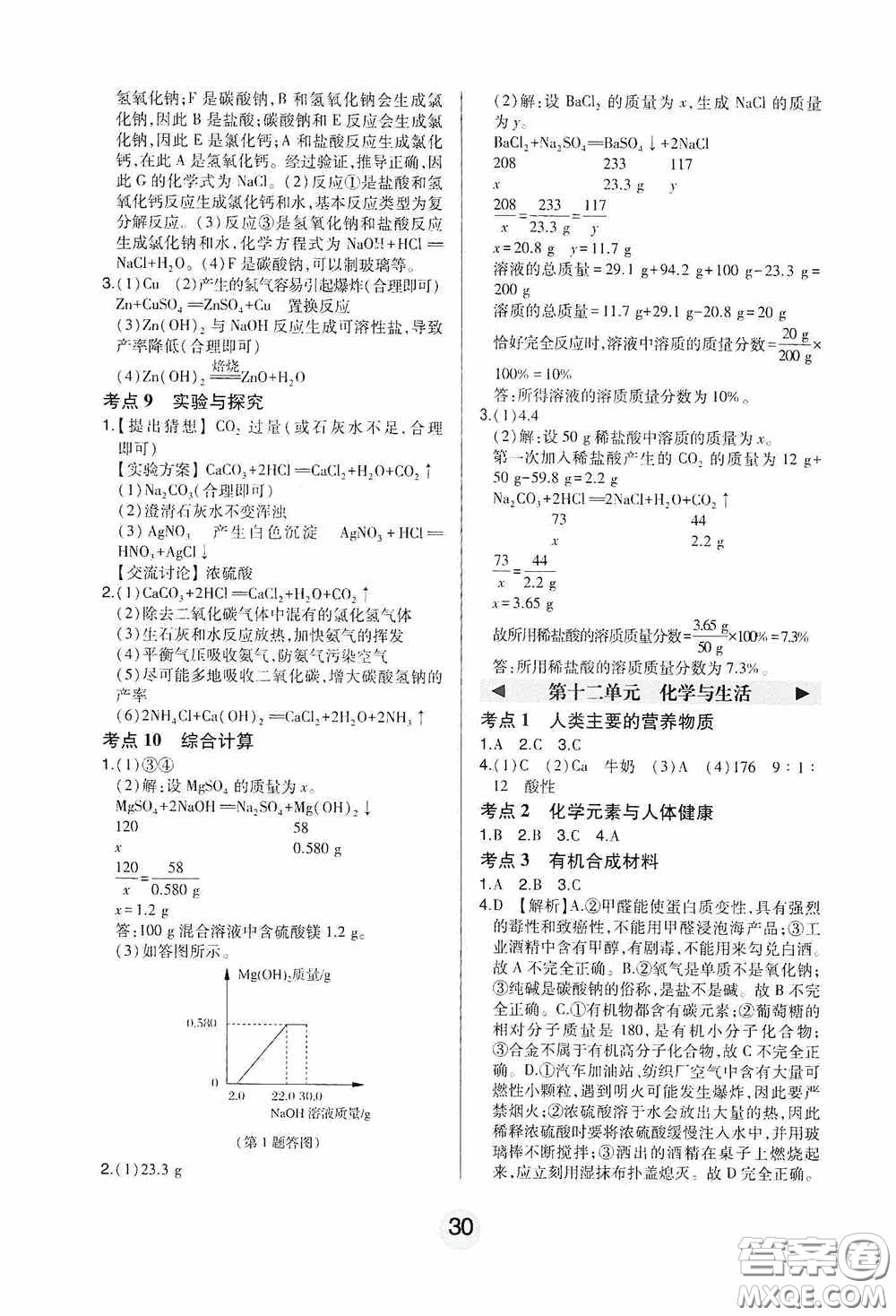 東北師范大學(xué)出版社2020北大綠卡課時同步講練九年級化學(xué)下冊人教版答案