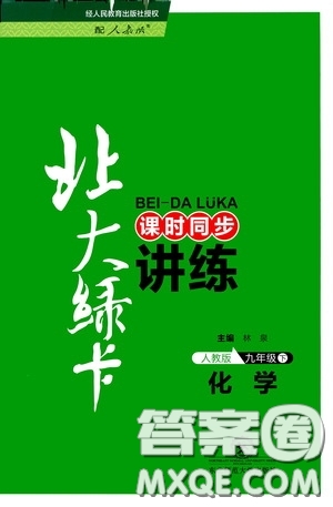 東北師范大學(xué)出版社2020北大綠卡課時同步講練九年級化學(xué)下冊人教版答案