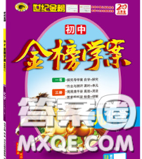 2020新版世紀(jì)金榜金榜學(xué)案九年級化學(xué)下冊魯教版答案