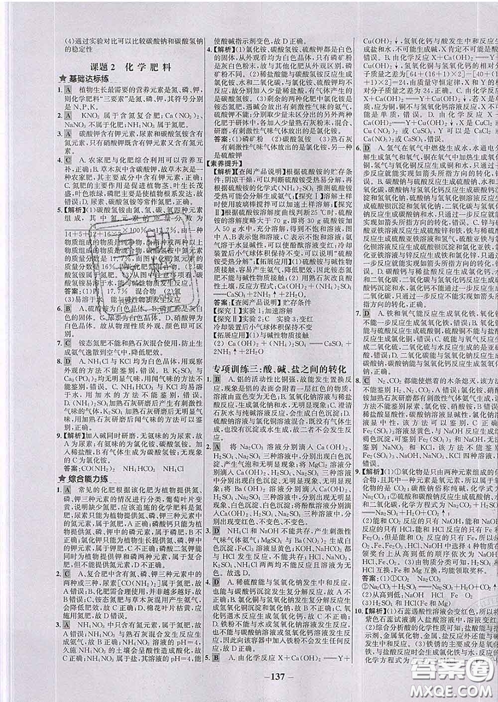 2020春世紀(jì)金榜百練百勝九年級化學(xué)下冊人教版答案