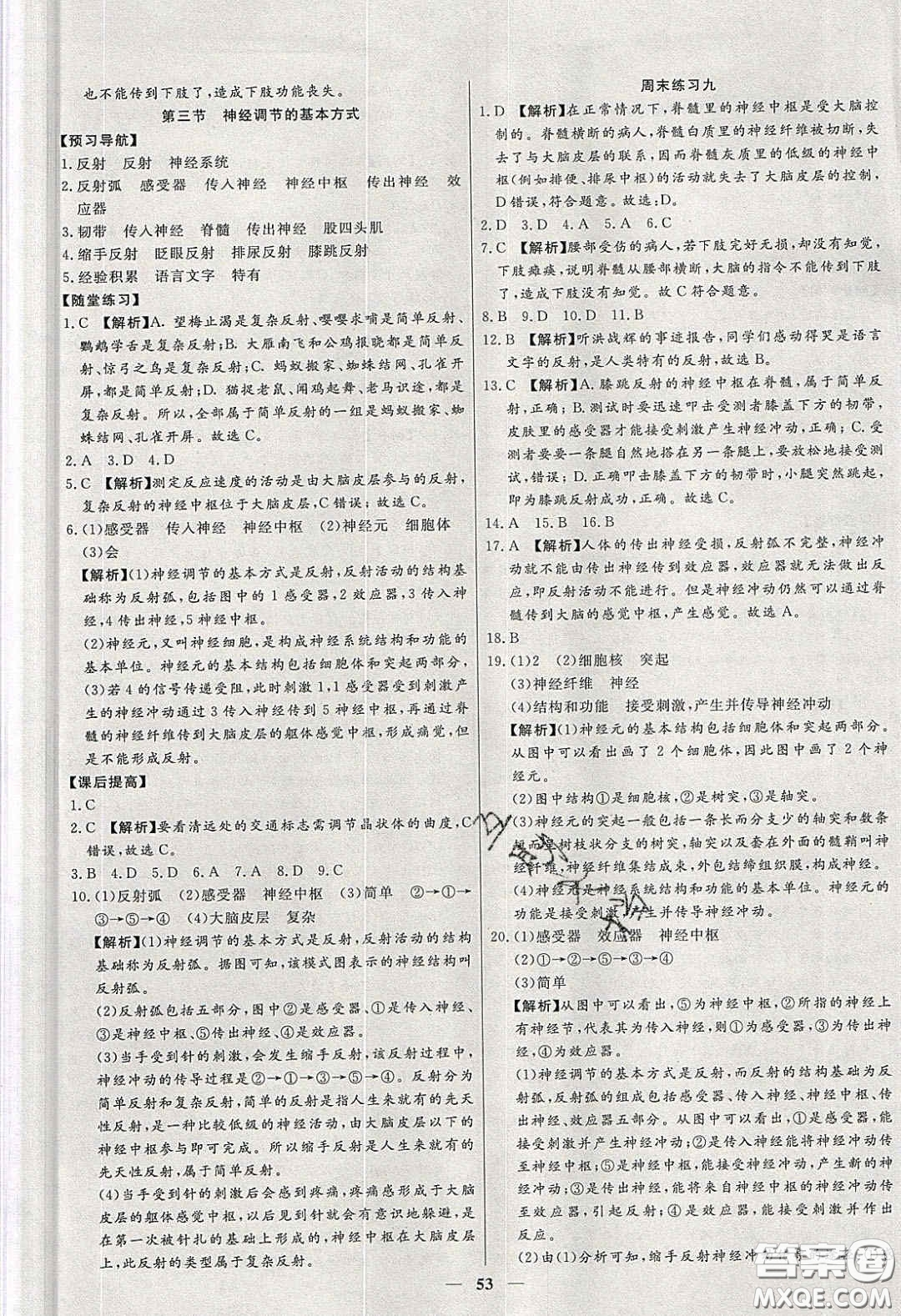 2020年春高分計(jì)劃中考版創(chuàng)新作業(yè)七年級生物下冊人教版答案