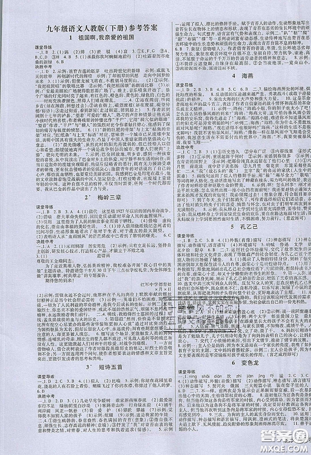 2020年高分突破課時(shí)達(dá)標(biāo)講練測(cè)九年級(jí)語(yǔ)文下冊(cè)人教版答案