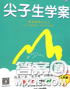 吉林人民出版社2020春尖子生學(xué)案八年級(jí)數(shù)學(xué)下冊(cè)北師版答案