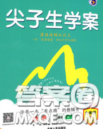 吉林人民出版社2020春尖子生學(xué)案九年級數(shù)學(xué)下冊北師版答案