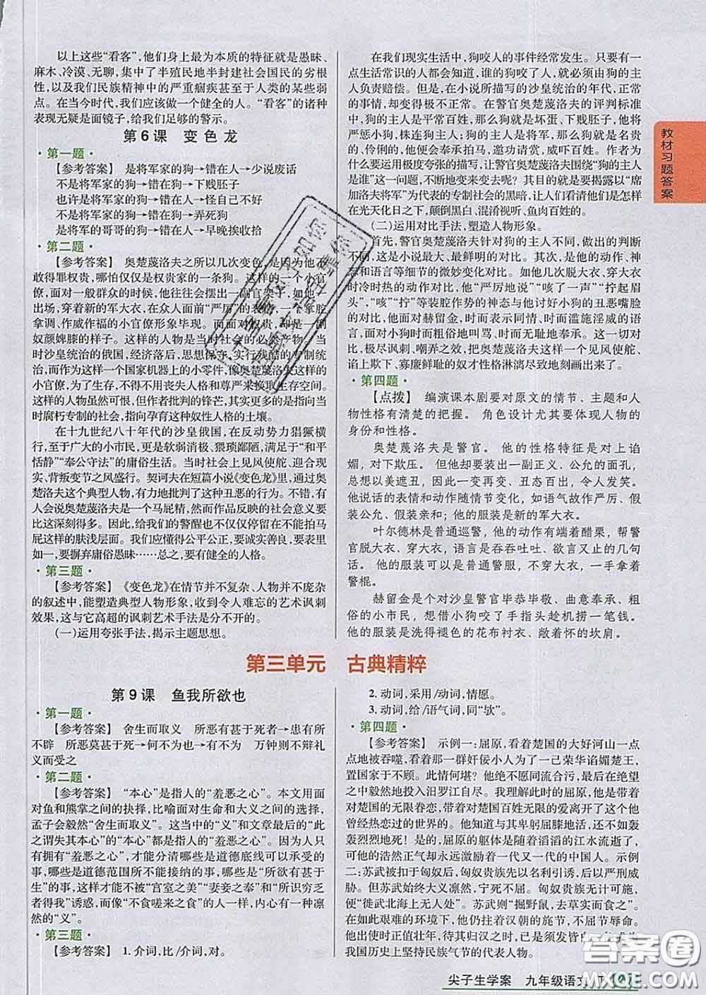 吉林人民出版社2020春尖子生學(xué)案九年級(jí)語(yǔ)文下冊(cè)人教版答案