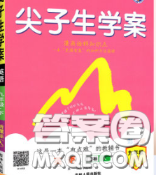 吉林人民出版社2020春尖子生學案九年級英語下冊譯林版答案