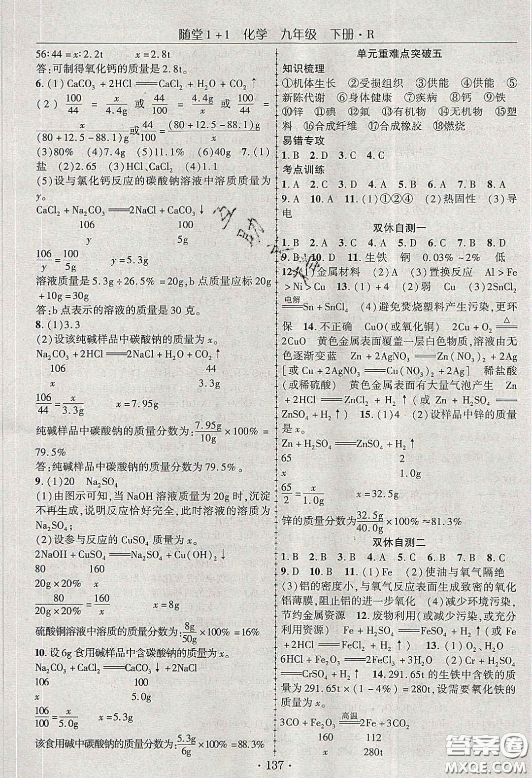 海韻圖書2020年春隨堂1+1導(dǎo)練九年級化學(xué)下冊人教版答案