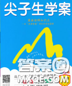 吉林人民出版社2020春尖子生學(xué)案九年級(jí)物理下冊蘇科版答案