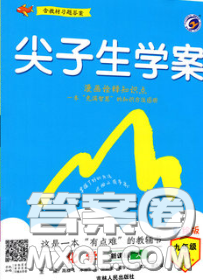 吉林人民出版社2020春尖子生學案九年級化學下冊滬教版答案