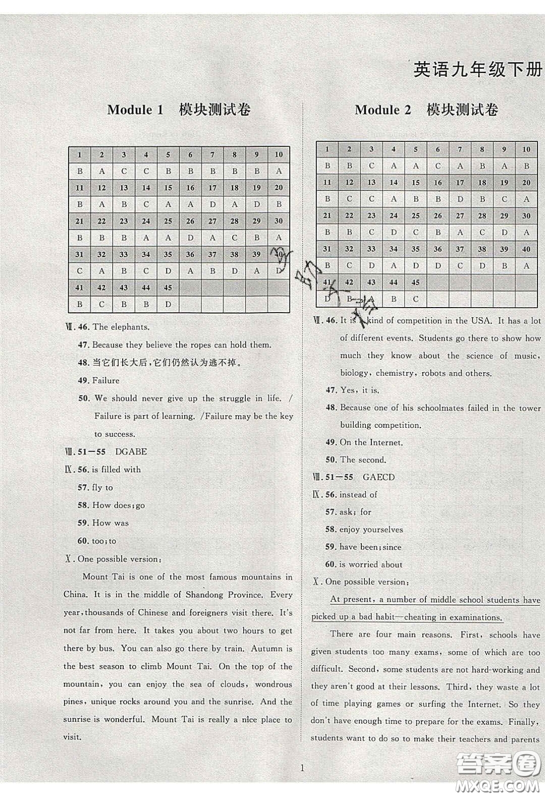 2020學透初中同步練習九年級英語下冊外研版答案