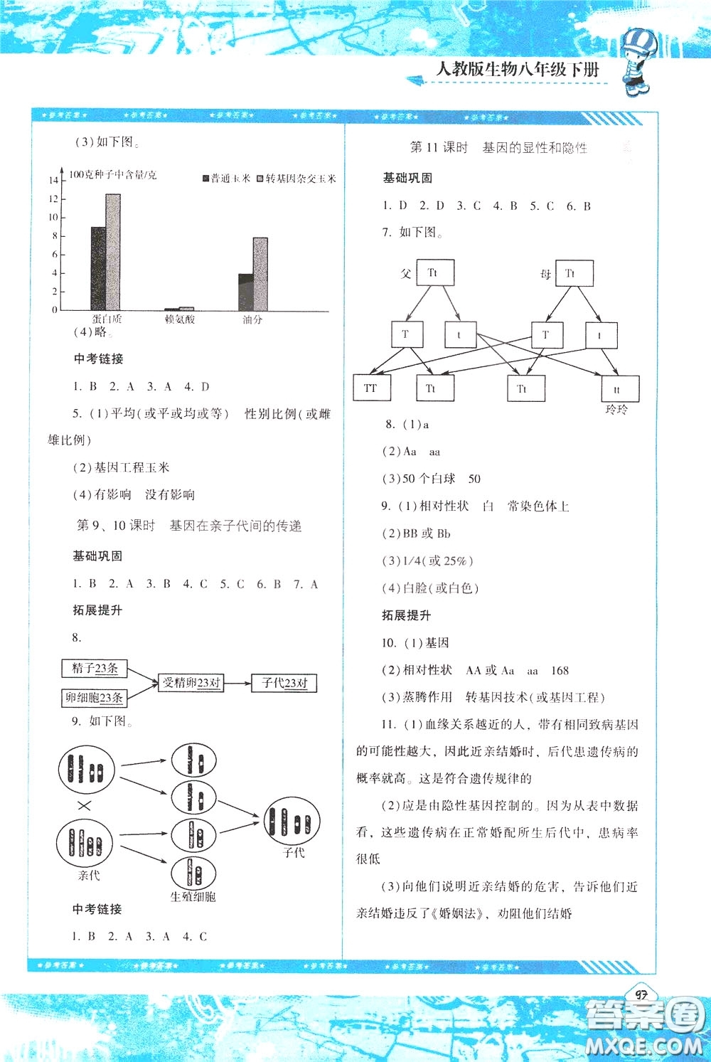 2020年課程基礎(chǔ)訓(xùn)練生物八年級下冊人教版參考答案