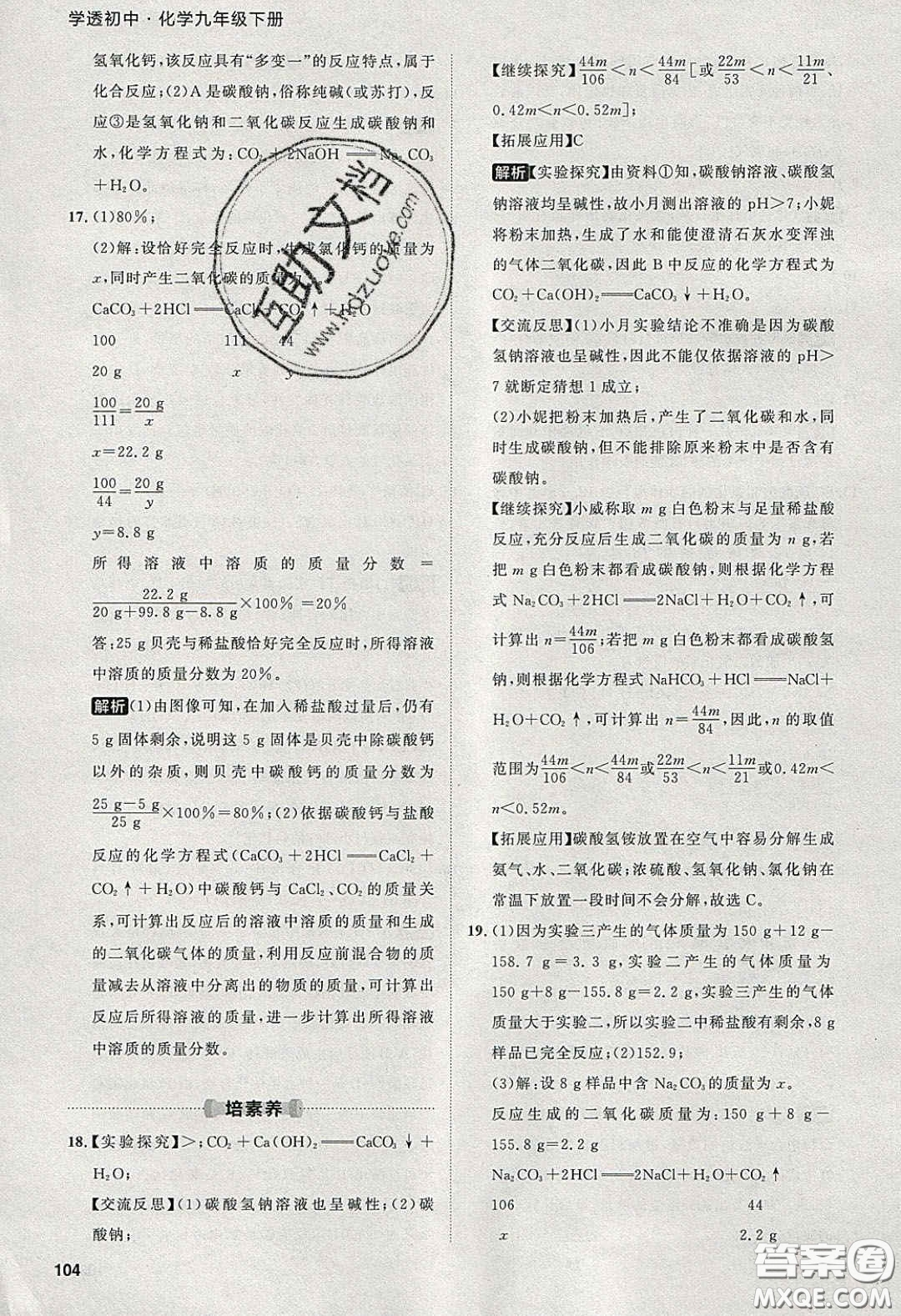 2020學(xué)透初中同步練習(xí)九年級(jí)化學(xué)下冊(cè)人教版答案