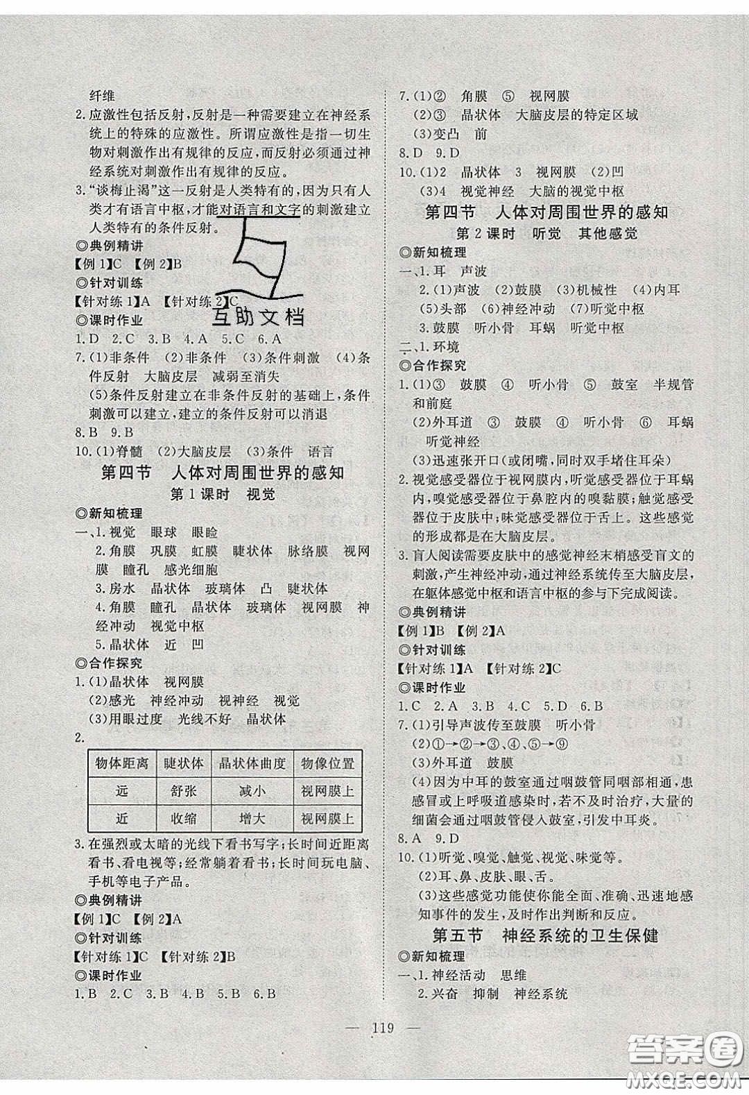 2020年351高效課堂導(dǎo)學(xué)案七年級(jí)生物下冊(cè)濟(jì)南版答案